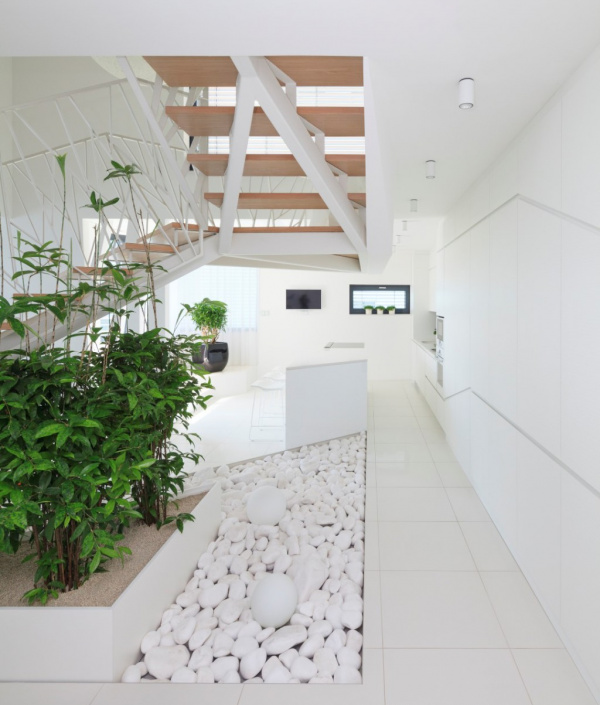 Projekty / White Tree - video