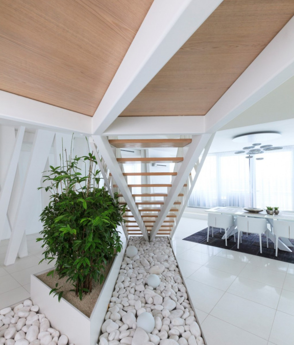 Projekty / White Tree - video