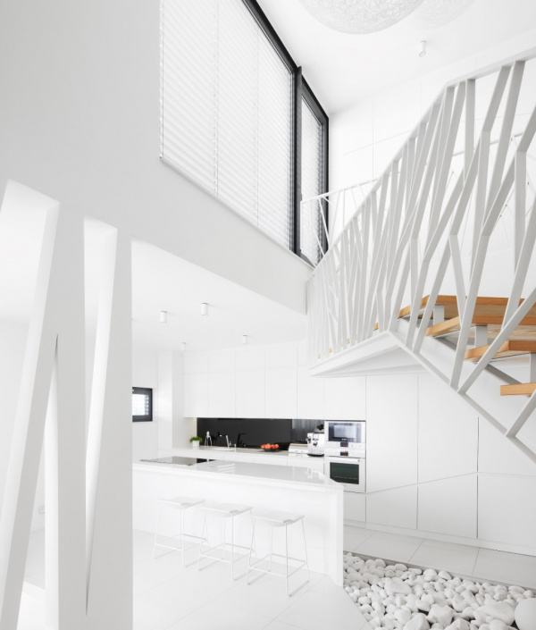 Projekty / White Tree - video