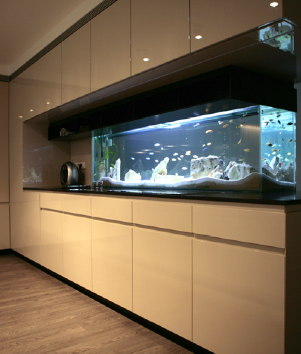 Projekty / Byt Alfa - video